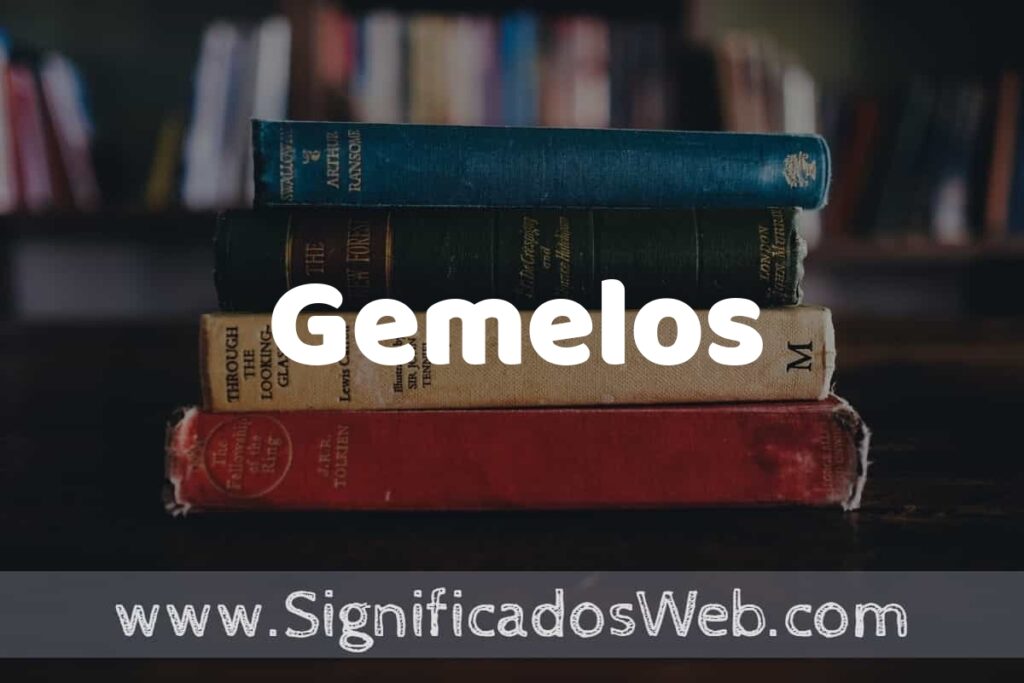 Concepto de Gemelos ▶️¿Que es? Definición y Significado
