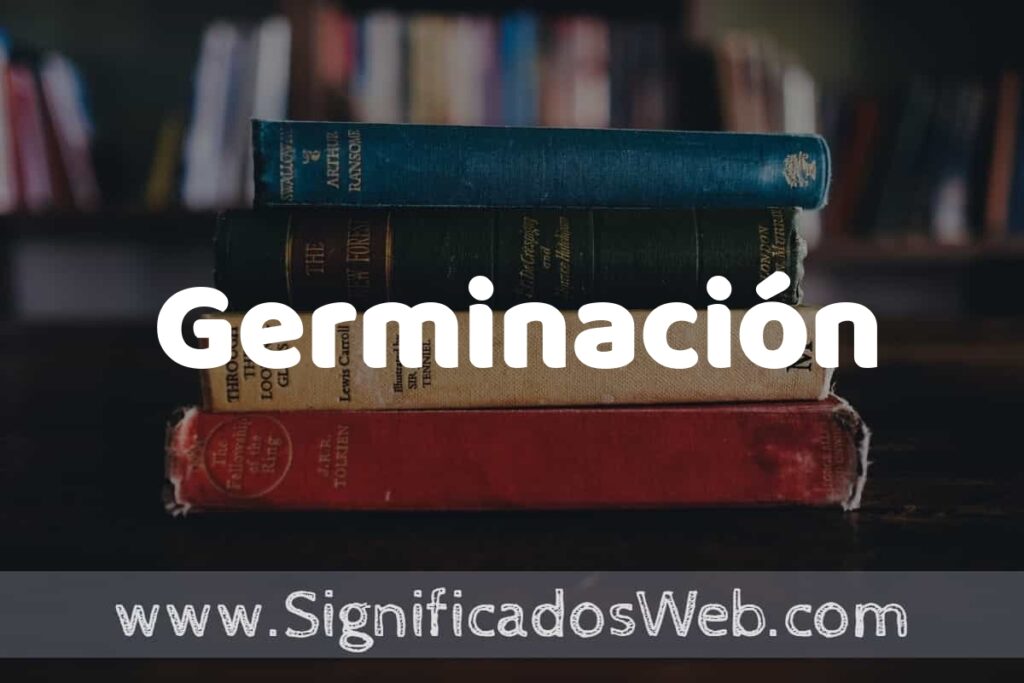 Concepto de Germinación ▶️¿Que es? Definición y Significado