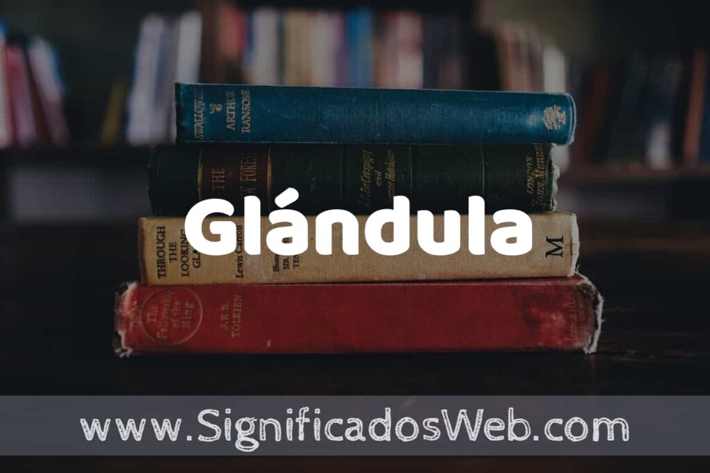 Concepto de Glándula ▶️¿Que es? Definición y Significado