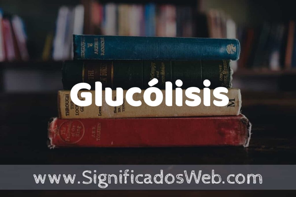 Concepto de Glucólisis ▶️¿Que es? Definición y Significado