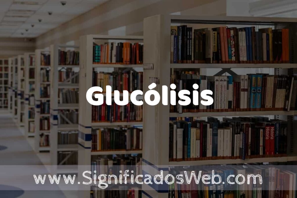 Concepto de Glucólisis ✔️ Significado y Definición