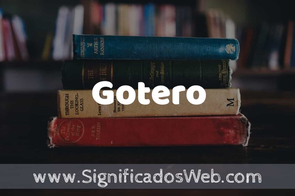 Concepto de Gotero ▶️¿Que es? Definición y Significado