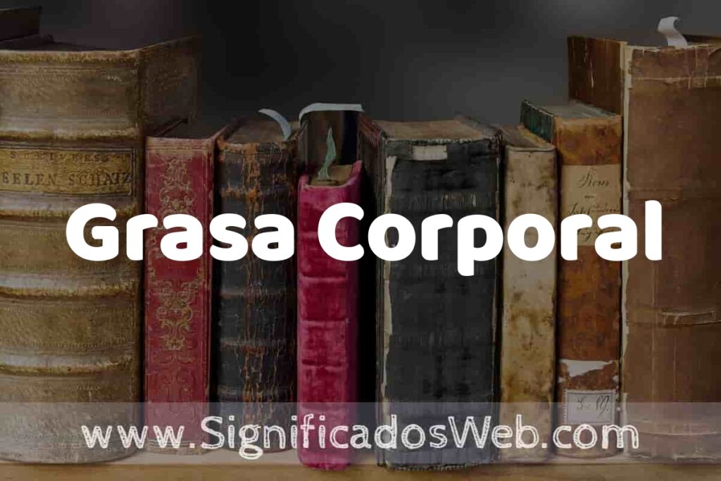 Definición de Grasa Corporal: Que es, 5 Ejemplos, Tipos y Para que Sirve + Sinónimo y Significado