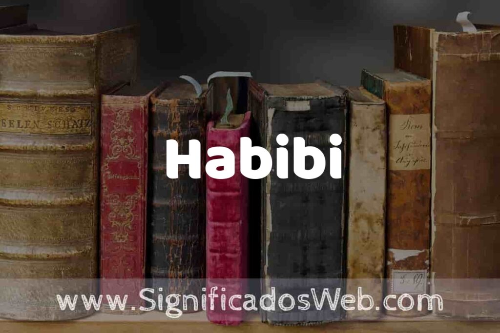 Definición de Habibi: Que es, 5 Ejemplos, Tipos y Para que Sirve + Sinónimo y Significado