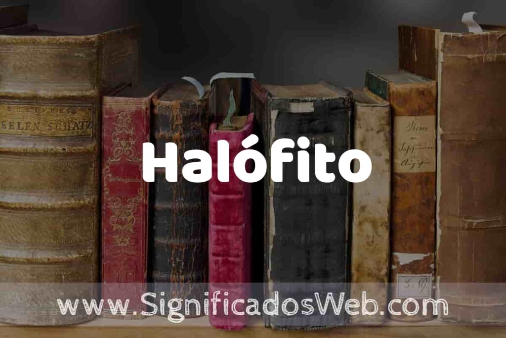 Definición de Halófito: Que es, 5 Ejemplos, Tipos y Para que Sirve + Sinónimo y Significado