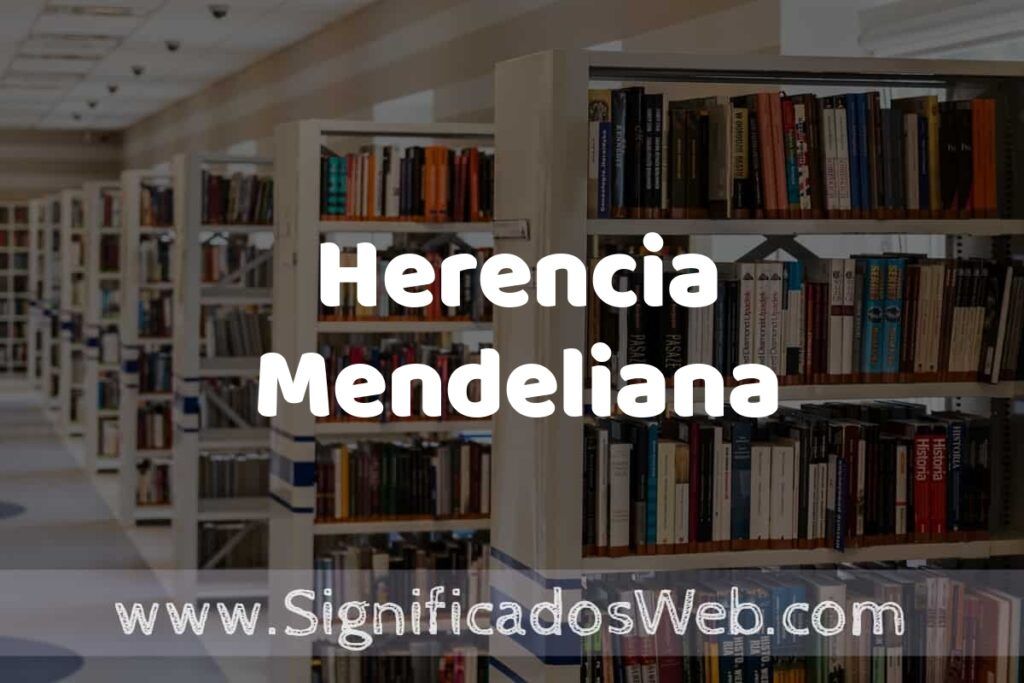 Concepto de Herencia Mendeliana ✔️ Significado y Definición
