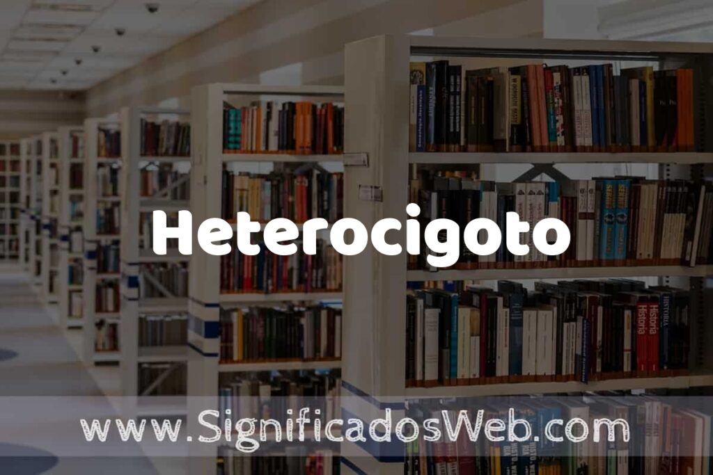 Concepto de Heterocigoto ✔️ Significado y Definición