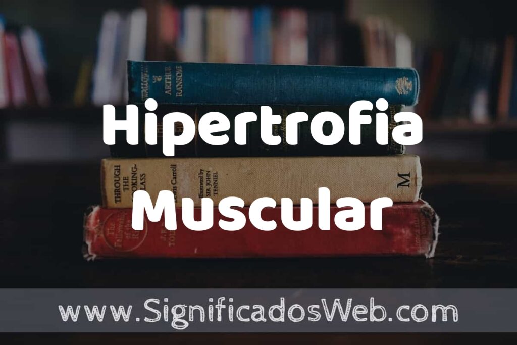 Concepto de Hipertrofia Muscular ▶️¿Que es? Definición y Significado