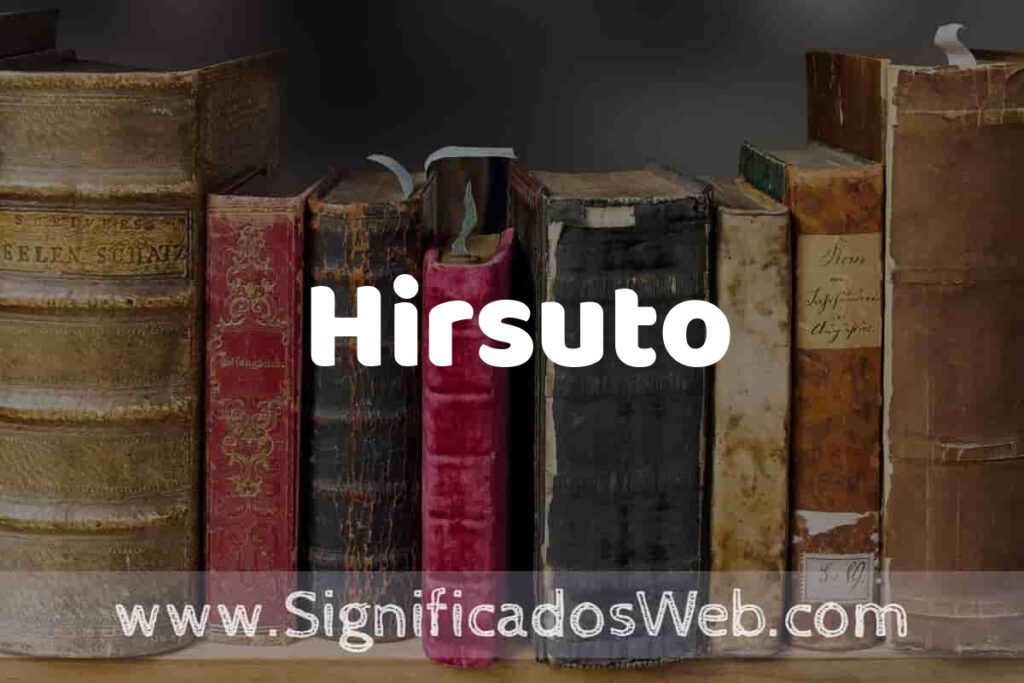 Definición de Hirsuto: Que es, 5 Ejemplos, Tipos y Para que Sirve + Sinónimo y Significado