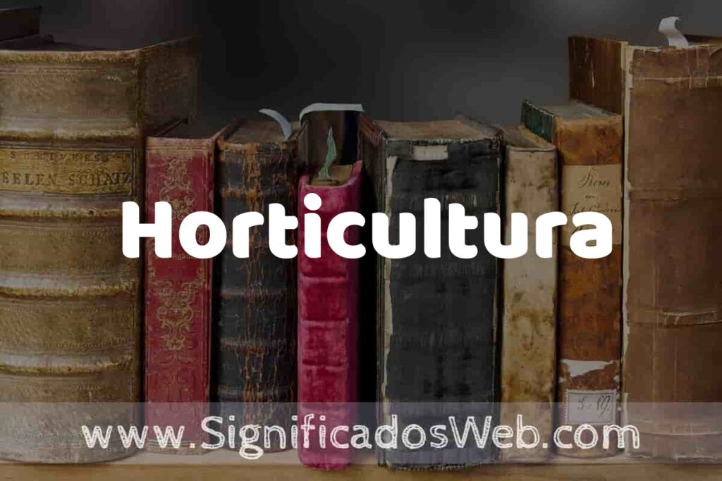 Definición de Horticultura: Que es, 5 Ejemplos, Tipos y Para que Sirve + Sinónimo y Significado