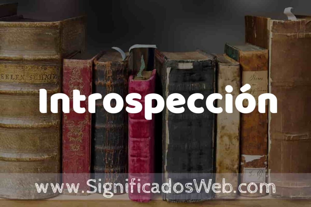 Definición de Introspección: Que es, 5 Ejemplos, Tipos y Para que Sirve + Sinónimo y Significado