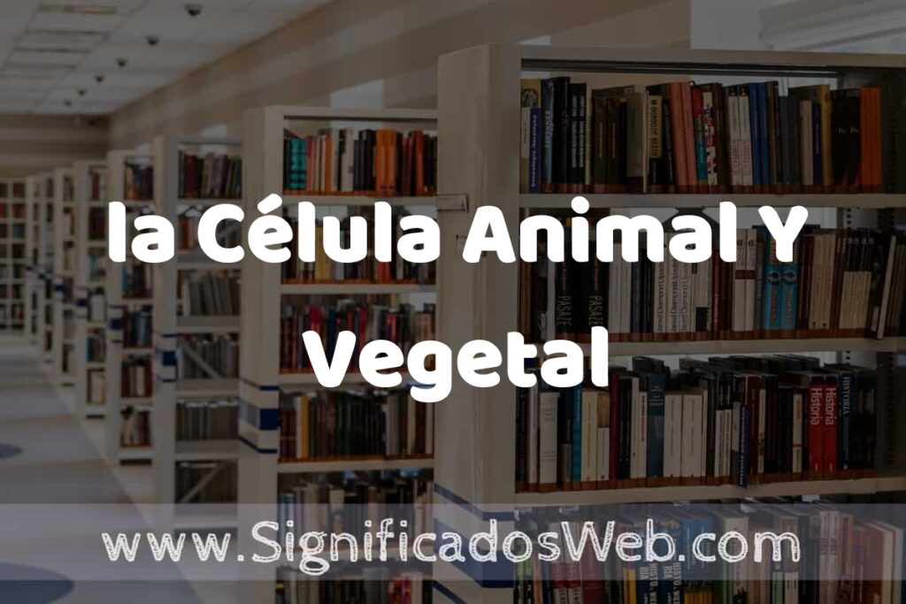 Concepto de la Célula Animal Y Vegetal ✔️ Significado y Definición