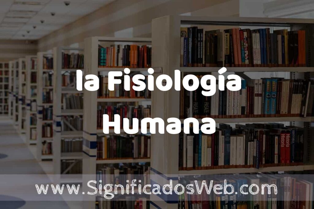 Concepto de la Fisiología Humana ✔️ Significado y Definición