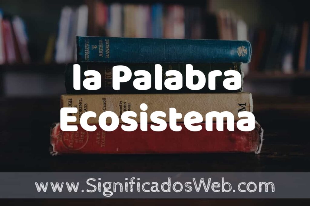 Concepto de la Palabra Ecosistema ▶️¿Que es? Definición y Significado