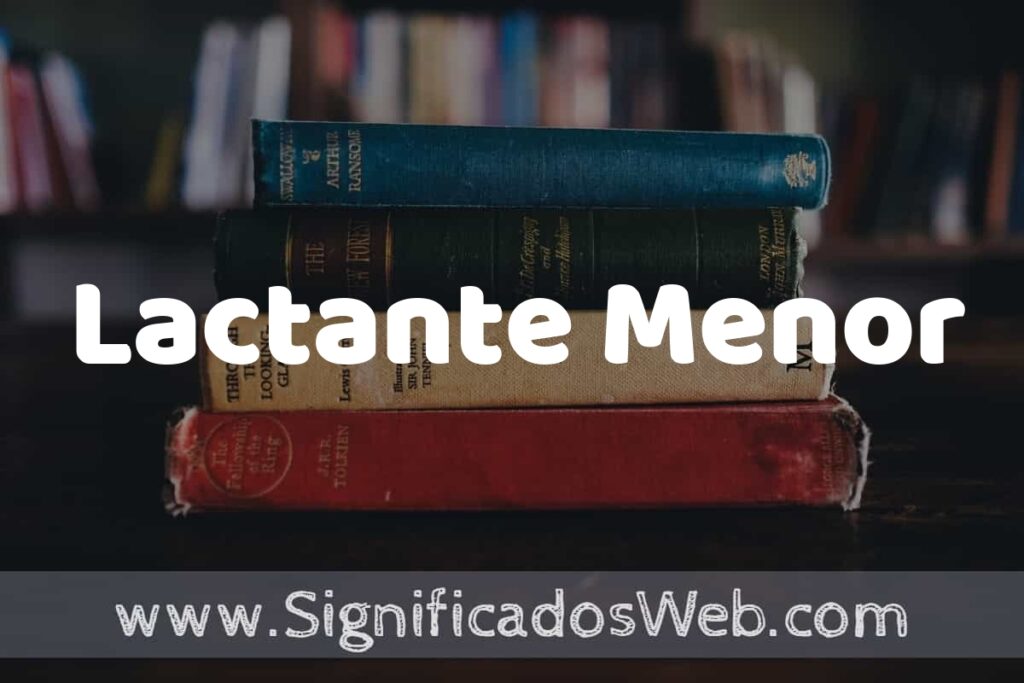 Concepto de Lactante Menor ▶️¿Que es? Definición y Significado