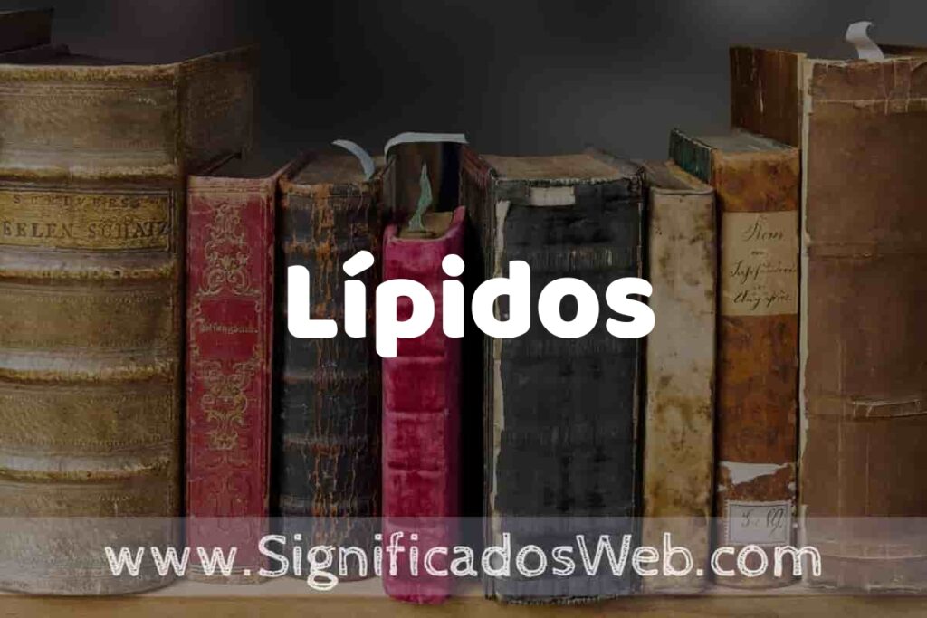 Definición de Lípidos: Que es, 5 Ejemplos, Tipos y Para que Sirve + Sinónimo y Significado