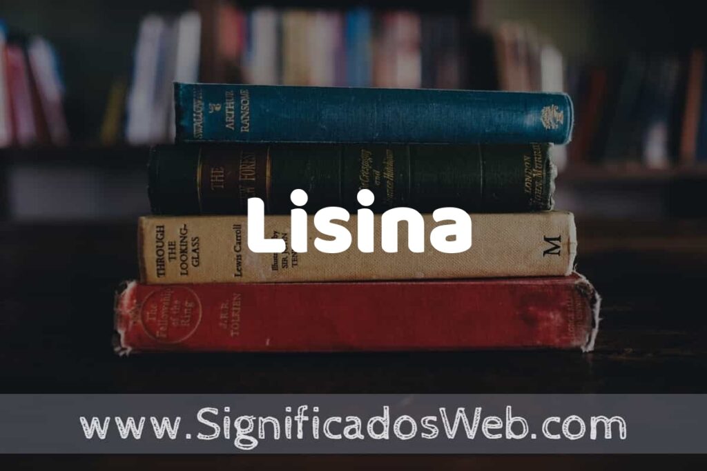 Concepto de Lisina ▶️¿Que es? Definición y Significado