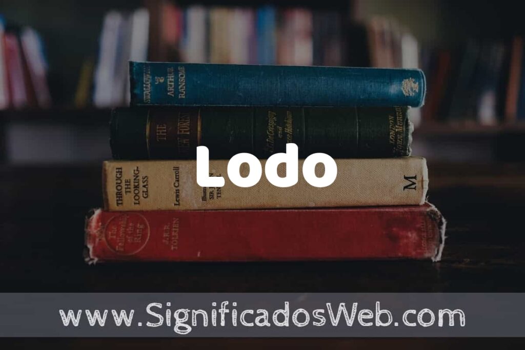 Concepto de Lodo ▶️¿Que es? Definición y Significado