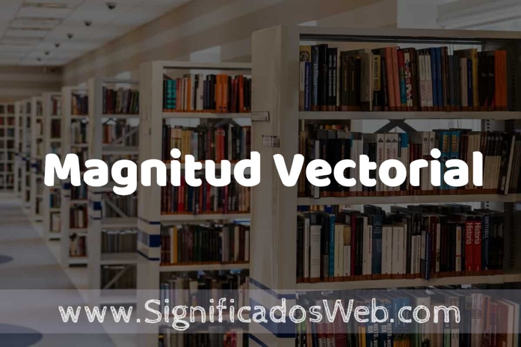 Concepto de Magnitud Vectorial ✔️ Significado y Definición