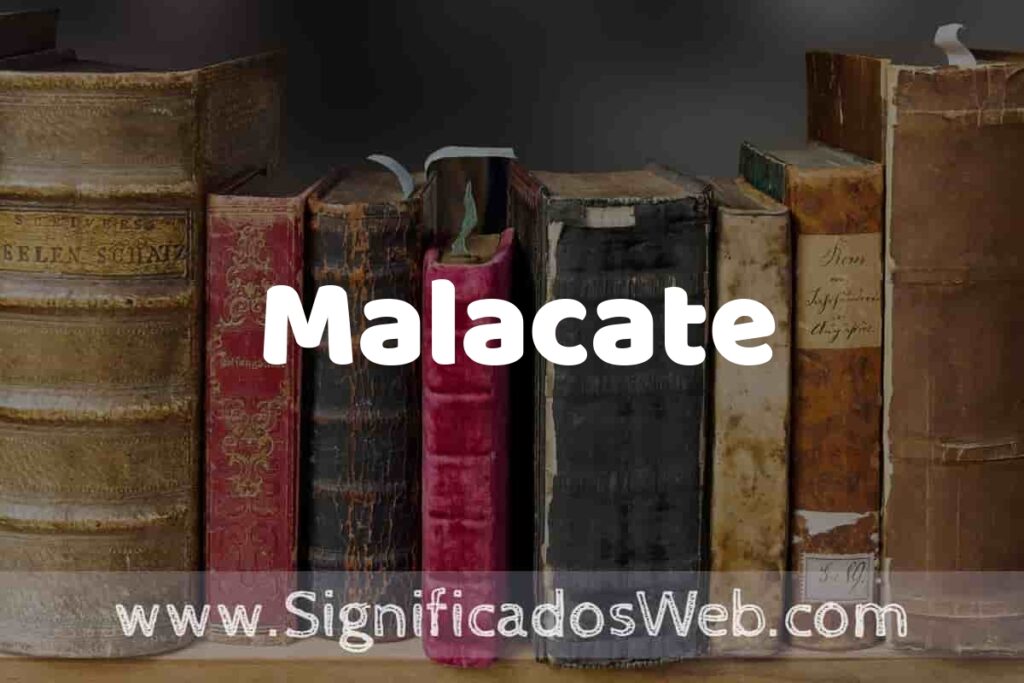 Definición de Malacate: Que es, 5 Ejemplos, Tipos y Para que Sirve + Sinónimo y Significado