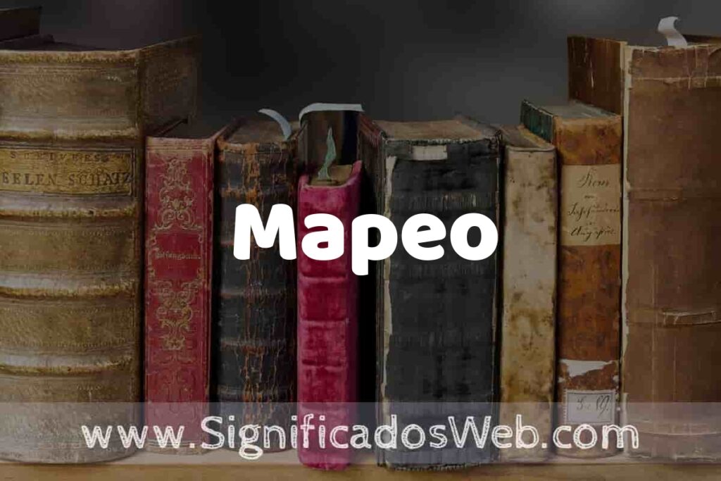 Definición de Mapeo: Que es, 5 Ejemplos, Tipos y Para que Sirve + Sinónimo y Significado