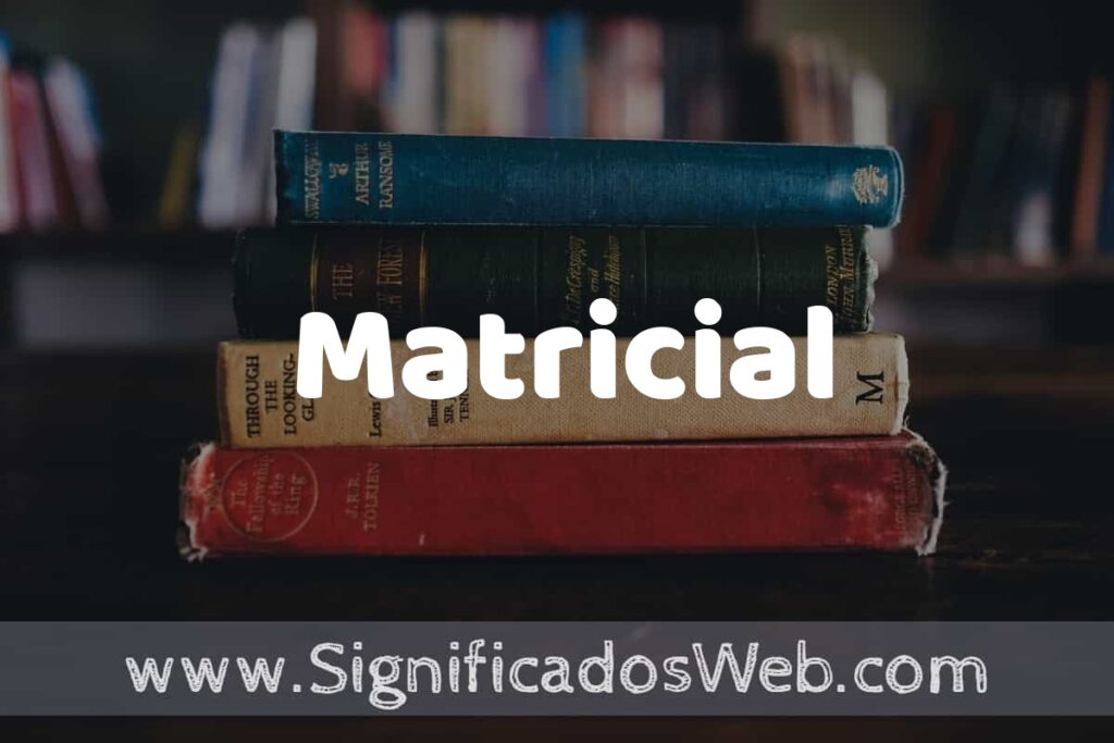 Concepto de Matricial ▶️¿Que es? Definición y Significado