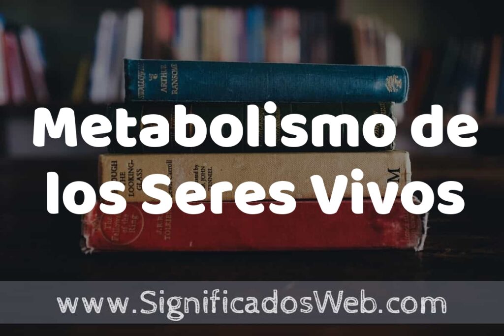 Concepto de Metabolismo de los Seres Vivos ▶️¿Que es? Definición y Significado