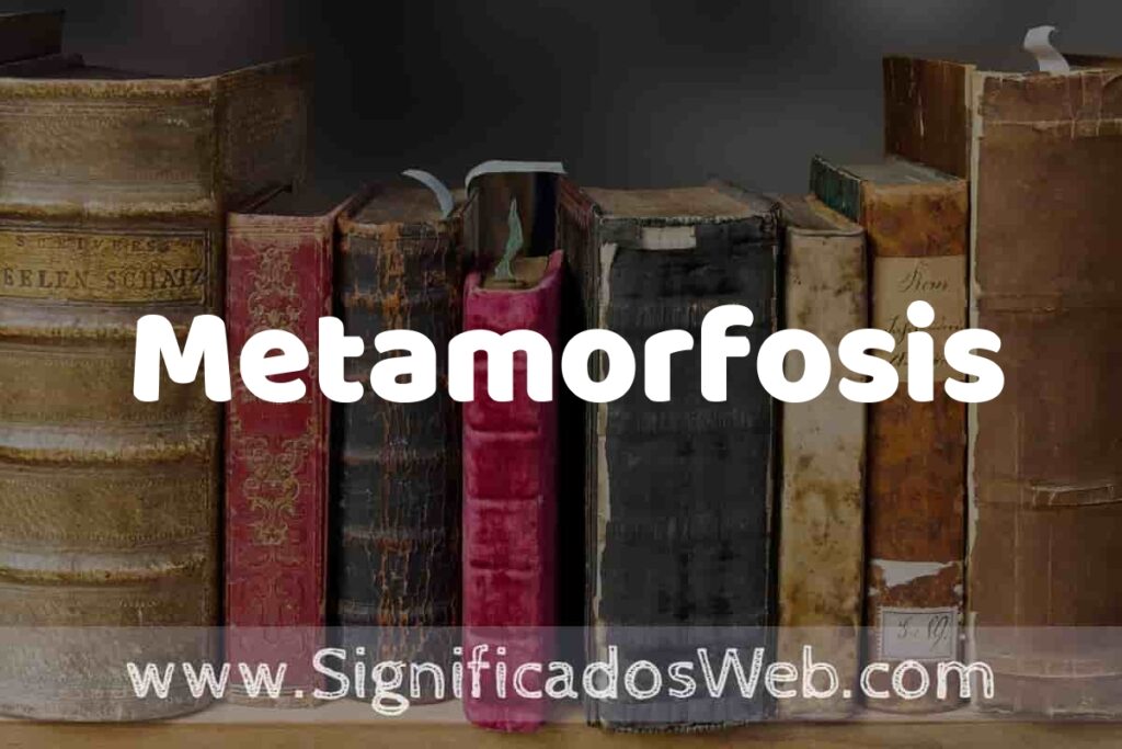 Definición de Metamorfosis: Que es, 5 Ejemplos, Tipos y Para que Sirve + Sinónimo y Significado