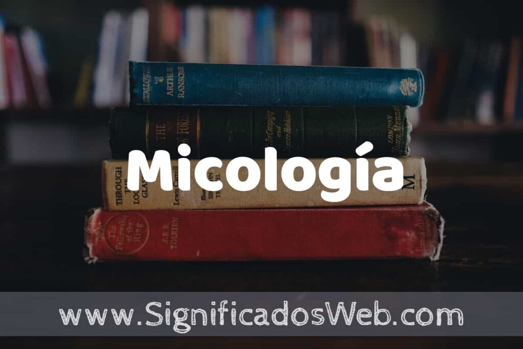 Concepto de Micología ▶️¿Que es? Definición y Significado