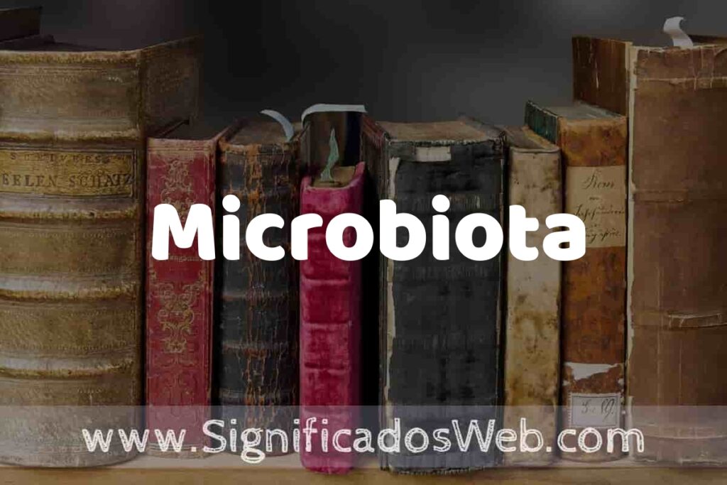 Definición de Microbiota: Que es, 5 Ejemplos, Tipos y Para que Sirve + Sinónimo y Significado