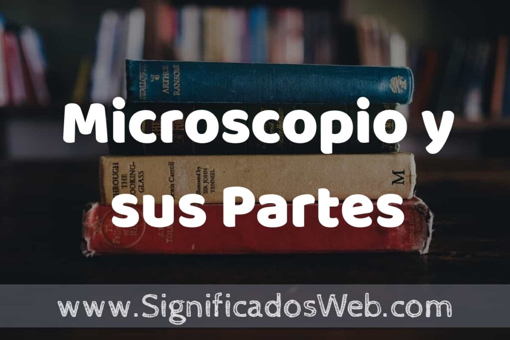 Concepto de Microscopio y sus Partes ▶️¿Que es? Definición y Significado