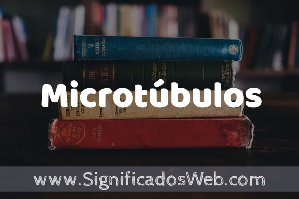 Concepto de Microtúbulos ▶️¿Que es? Definición y Significado