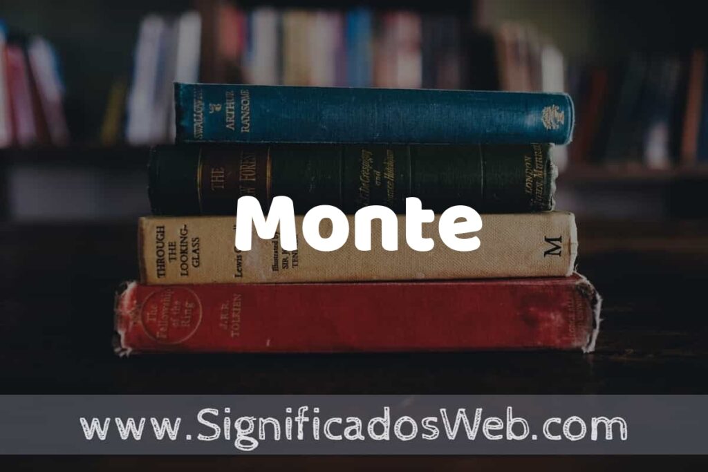Concepto de Monte ▶️¿Que es? Definición y Significado