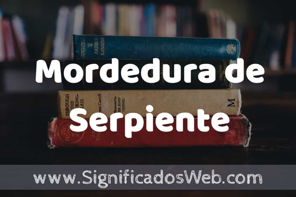 Concepto de Mordedura de Serpiente ▶️¿Que es? Definición y Significado