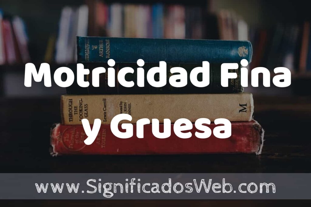 Concepto de Motricidad Fina y Gruesa ▶️¿Que es? Definición y Significado