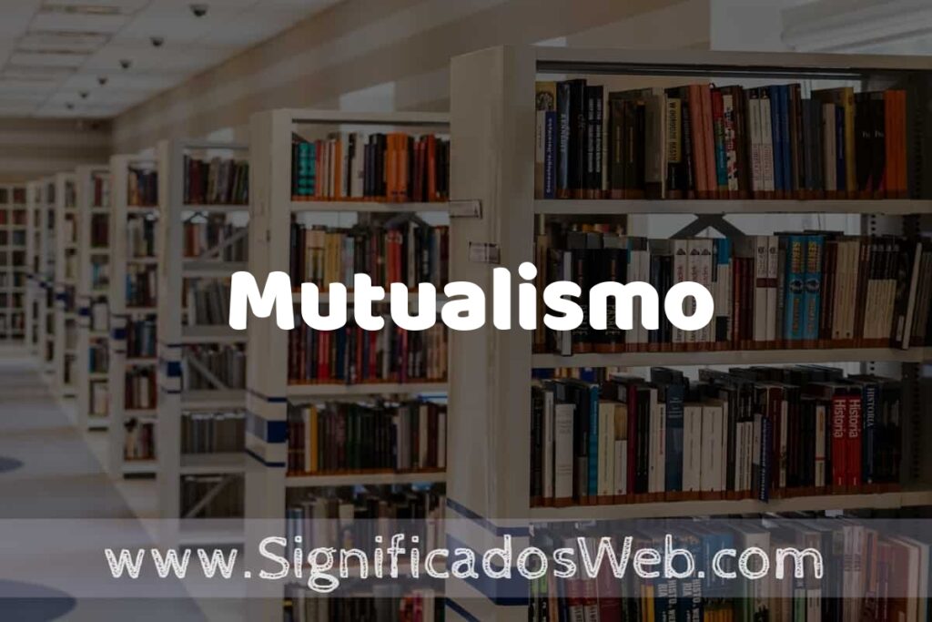 Concepto de Mutualismo ✔️ Significado y Definición