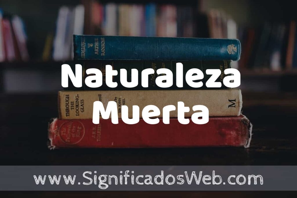 Concepto de Naturaleza Muerta ▶️¿Que es? Definición y Significado