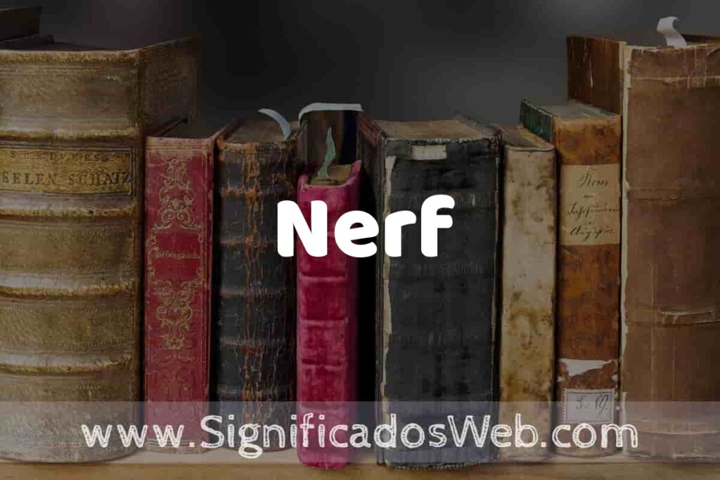Definición de Nerf: Que es, 5 Ejemplos, Tipos y Para que Sirve + Sinónimo y Significado