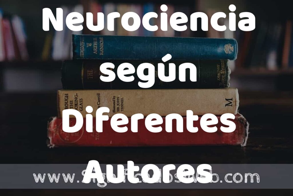 Concepto de Neurociencia según Diferentes Autores ▶️¿Que es? Definición y Significado