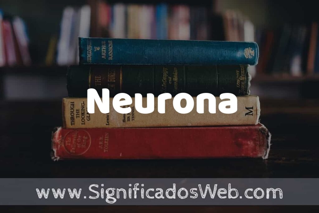 Concepto de Neurona ▶️¿Que es? Definición y Significado