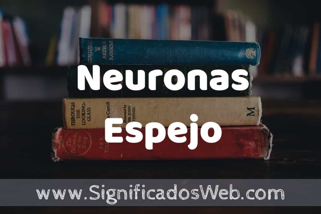 Concepto de Neuronas Espejo ▶️¿Que es? Definición y Significado