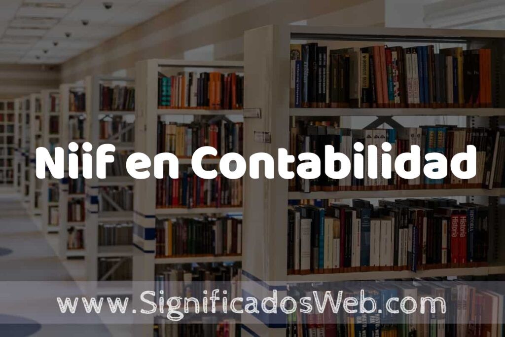 Concepto de Niif en Contabilidad ✔️ Significado y Definición