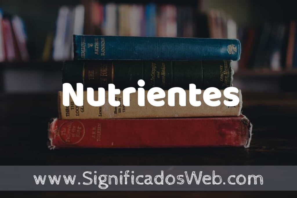 Concepto de Nutrientes ▶️¿Que es? Definición y Significado