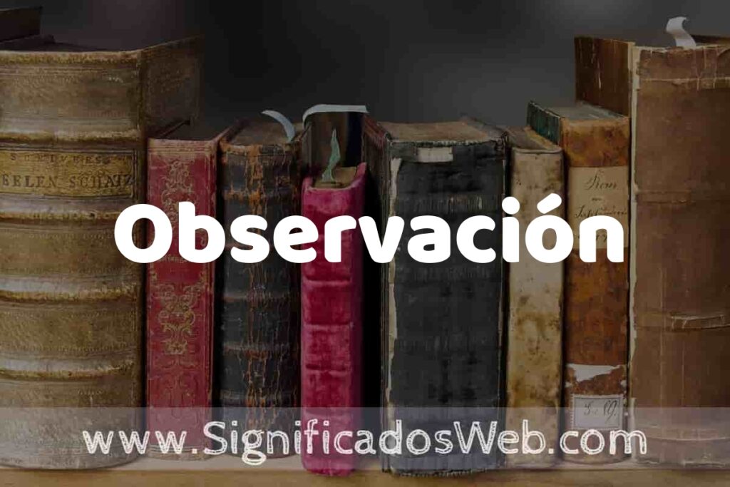 Definición de Observación: Que es, 5 Ejemplos, Tipos y Para que Sirve + Sinónimo y Significado