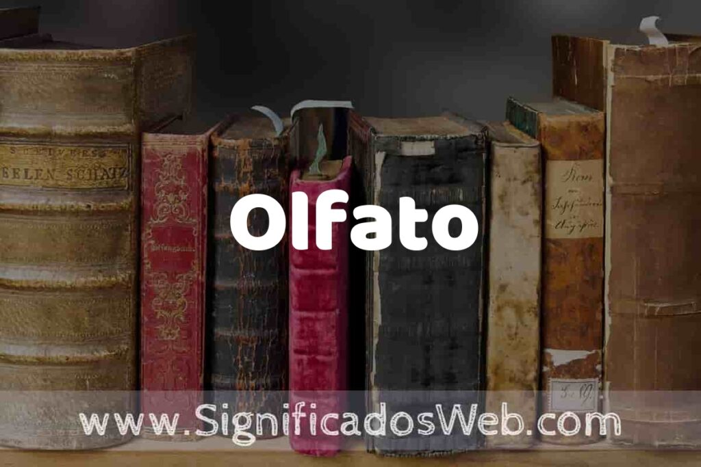 Definición de Olfato: Que es, 5 Ejemplos, Tipos y Para que Sirve + Sinónimo y Significado