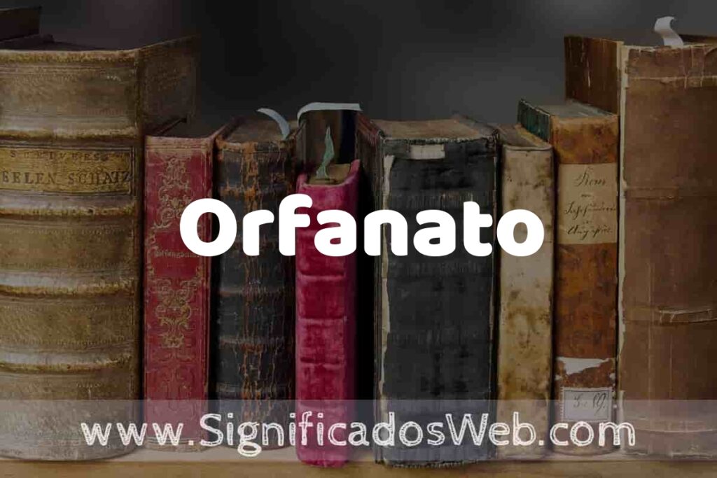 Definición de Orfanato: Que es, 5 Ejemplos, Tipos y Para que Sirve + Sinónimo y Significado