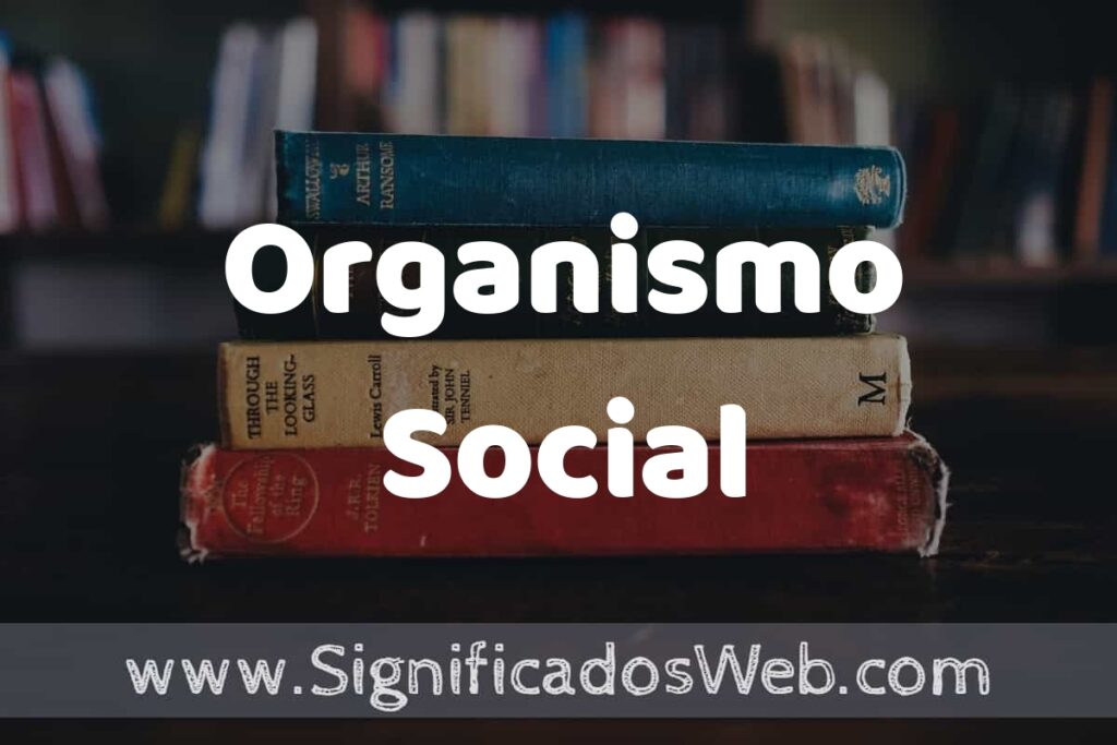 Concepto de Organismo Social ▶️¿Que es? Definición y Significado