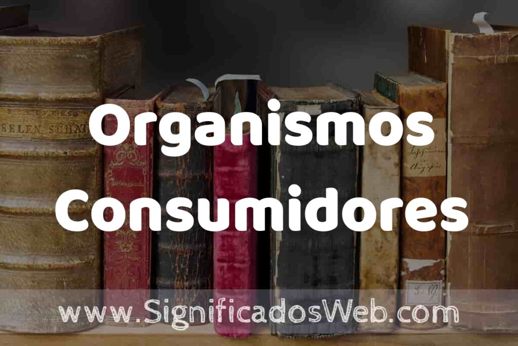 Definición de Organismos Consumidores: Que es, 5 Ejemplos, Tipos y Para que Sirve + Sinónimo y Significado