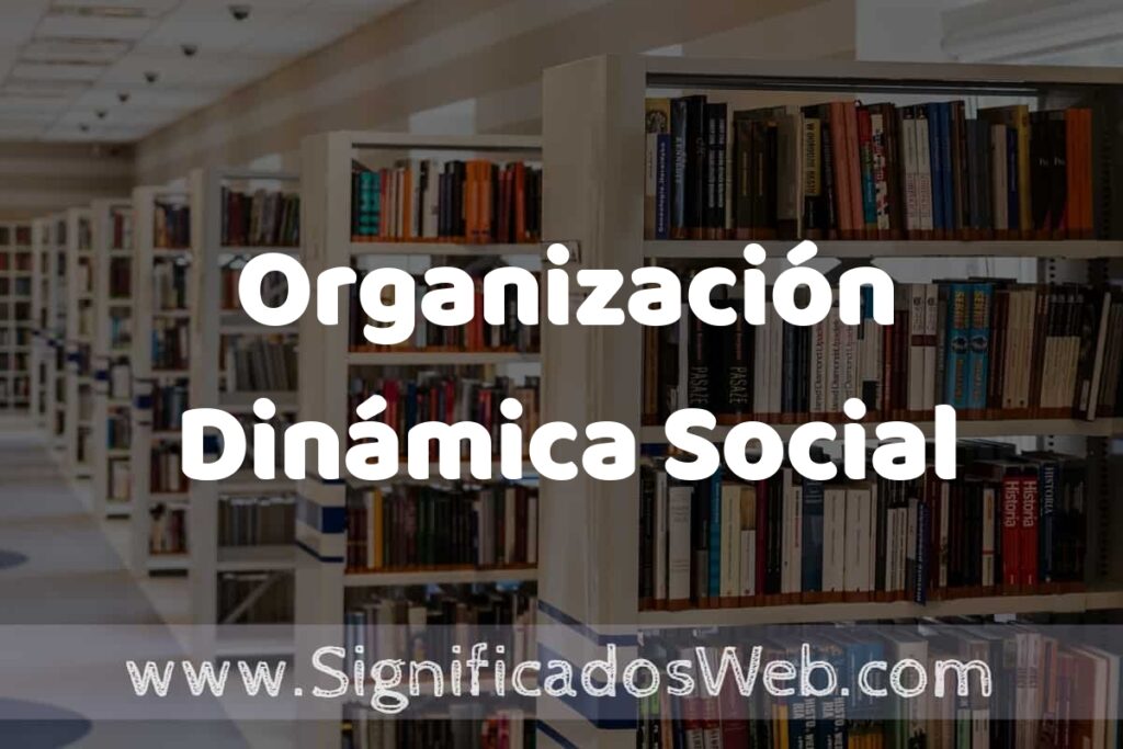 Concepto de Organización Dinámica Social ✔️ Significado y Definición