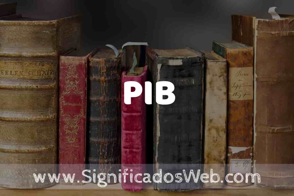 Definición de PIB: Que es, 5 Ejemplos, Tipos y Para que Sirve + Sinónimo y Significado